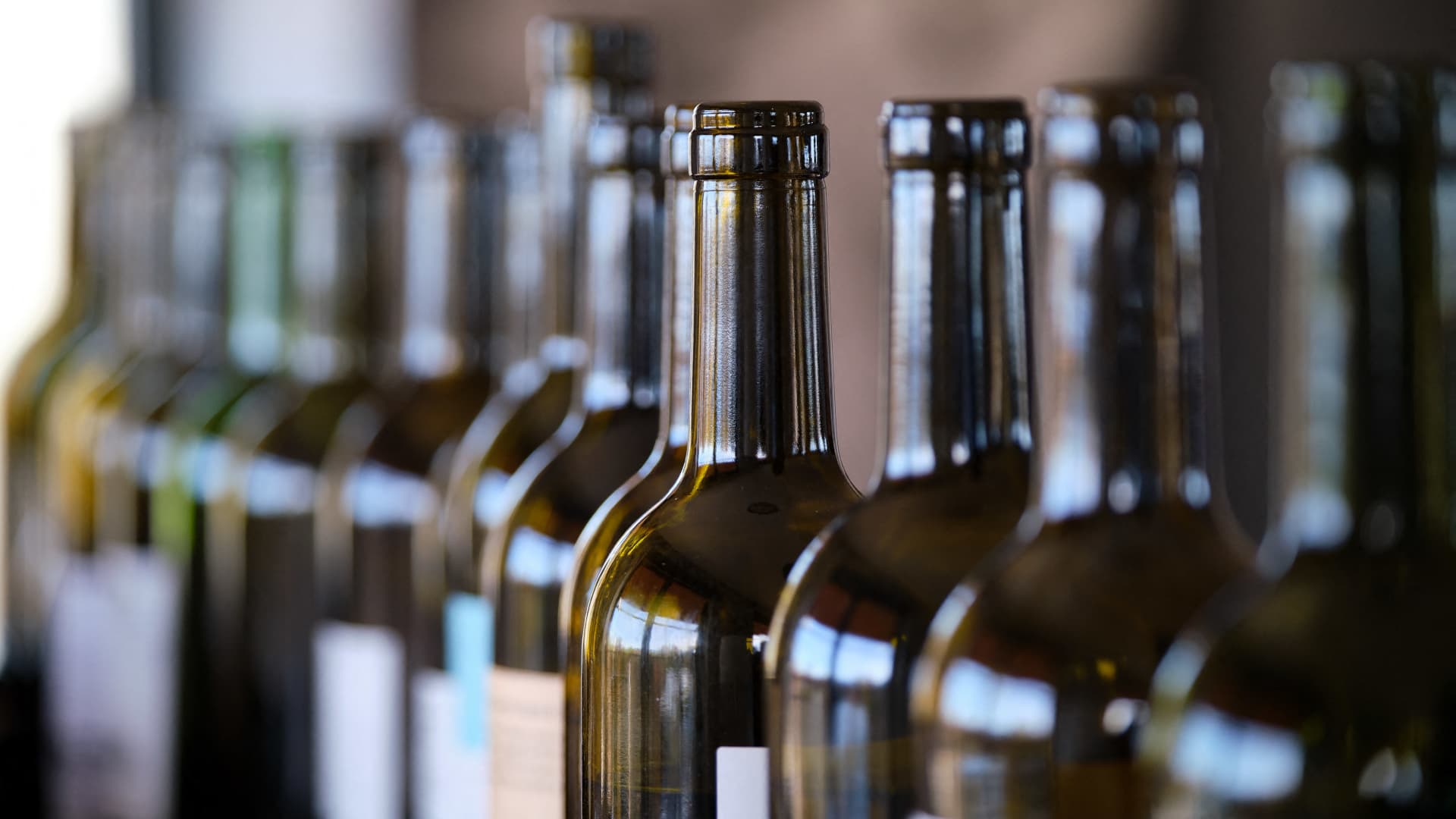 Vinhas em França afetadas por seca severa
