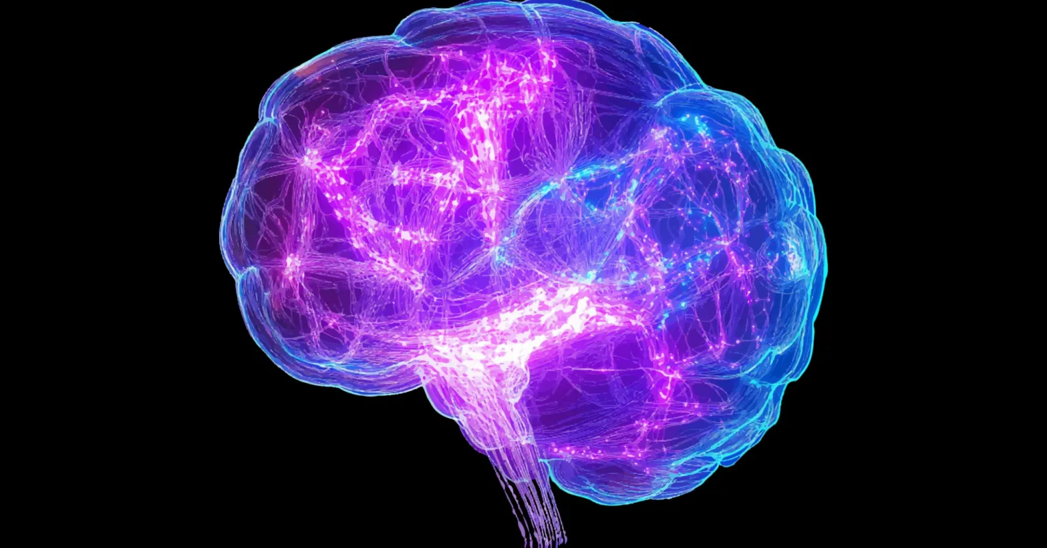 Construindo Neuroplasticidade Positiva na Mente Brilhante